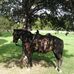 Keith Bonham - Facebook