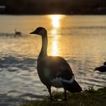 Keith Bonham - @itsmekmb_photography - Instagram