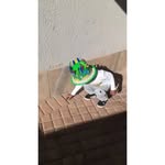 Keith Bonolo - @keithbonolo - Instagram