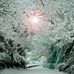 Autoeyes   Photography by Keith Boreham - Facebook