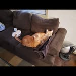 Keith Bosco - @bosco9093 - Instagram