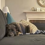 Keith Boscombe - @keith.boscombe - Instagram