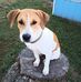 Keith Bowman - Facebook
