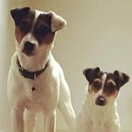 Keith Bourne - @mrkeithbourne - Instagram