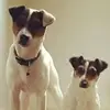 keithbourne678 - @keithbourne678 - TikTok
