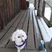 Keith Bowes - Facebook