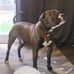 Keith Bradfield - Facebook