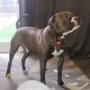 keithbradfield8 - @keithbradfield8 - TikTok