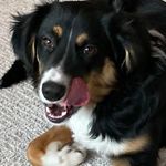 Keith Branson - @kbran12102 - Instagram