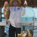 keith brigham - @bugsandgroupers - Instagram