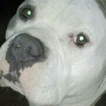 JUICE MAKER - @keith_broadnax - Instagram