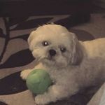keith Broughton - @broughton.keith - Instagram
