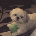 Keith Broughton - @keith.broughton393 - Instagram