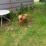 Keith Brownell - @brady5150 - Instagram