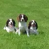 keithbrushwood - @keithbrushwood - TikTok