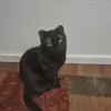 Keith Buckley - @keith.buckley2 - TikTok