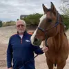 keithbudd96 - @kdad611 - TikTok