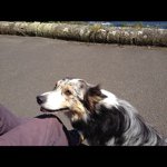 Keith Bunting - @keithbunting - Instagram