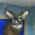 Keith Bushey - Facebook