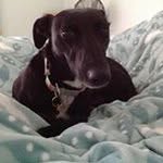 Keith Bushnell - @keith_bushnell - Instagram