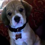 Keith Busic - @keithbusic - Instagram