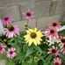 Keith Pasek - Facebook