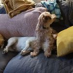 Keith Buxton - @keith.buxton1 - Instagram