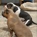 Keith Cage - Facebook