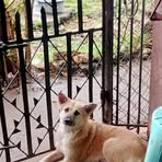 Keith Ivan Canton - Facebook