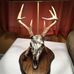Keith Capps Taxidermy - Facebook