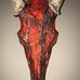 Keith Capps Taxidermy - Facebook
