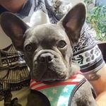 Keith Casey - @keithcasey7289 - Instagram