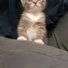 Keith Casey - @keith.casey2 - TikTok