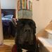Keith Cassar - Facebook