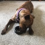 Keith Catchpole - @keithpole52 - Instagram