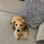 Keith Chalkley - @chalkleykeith - Instagram