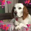 Keith Chamberlin291 - @keithchamberlin29 - TikTok