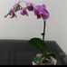 Keith Chau - Facebook