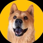 KEITH 💜 - @keithchowchow - Instagram