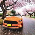 Keith Chung - @keithcmk - Instagram