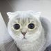 Keith Chung - Facebook