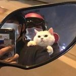 鍾嘉俊 - @keithchung_ - Instagram