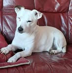 Kieth Churchfield - Facebook