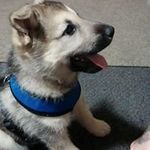 Keith Clinton Cochrane - @keithclintoncochrane - Instagram