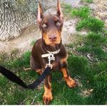 Keithcollettijr - @keithcollettijr - Instagram