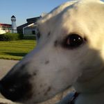 Keith Combs - @keith.combs.3388 - Instagram