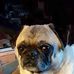 Keith Conant - Facebook