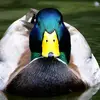 keithcovert968 - @keithcovert968 - TikTok