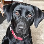 Keith Creelman - @creelman.keith - Instagram