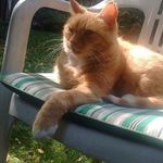 Keith Crossley - @keith.kuhnel - Instagram